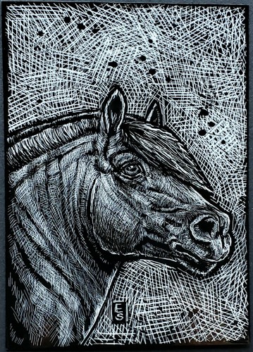 Aceo original horse norwegian - aceo,