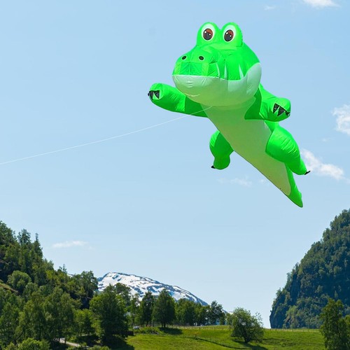 Kite for beginners - kite,