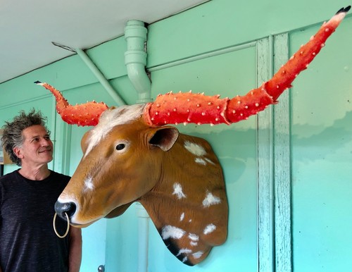 One kind texas longhorn - of, kind,