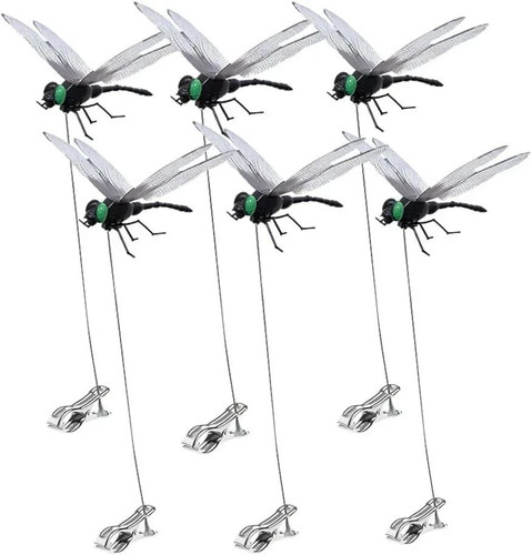 Pack dragonfly clip - pack,