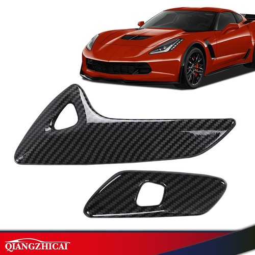 Carbon fiber interior - interior, door