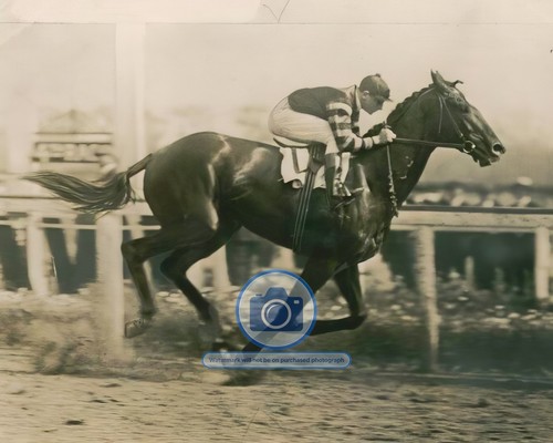 Man war champion - o,