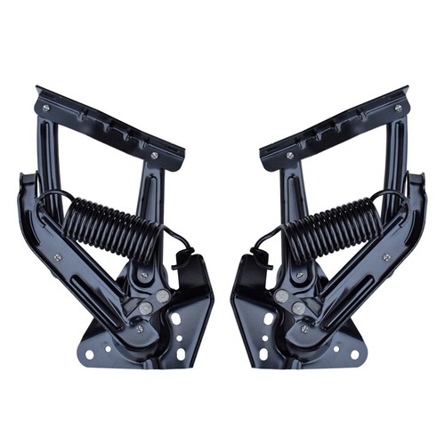Hood hinge pair - hood, springs