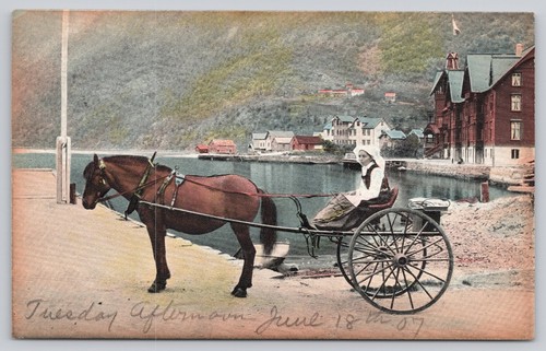 Vintage norway fjord - norway, postcard