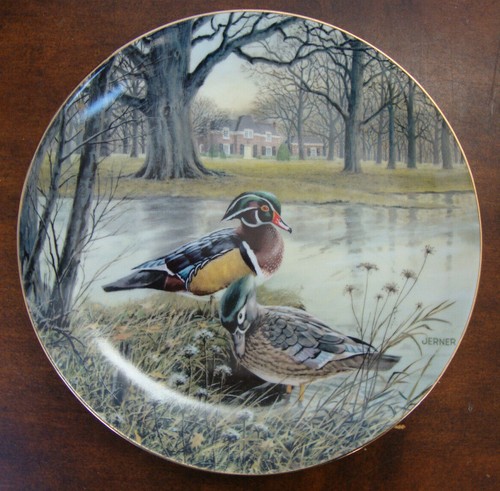 Wood ducks living with nature - ducks,