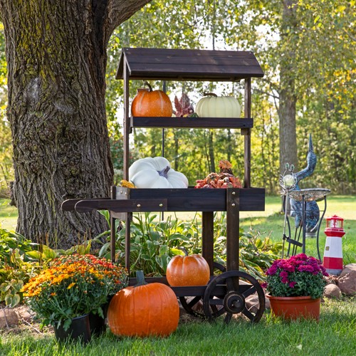 Flower cart display - flower,