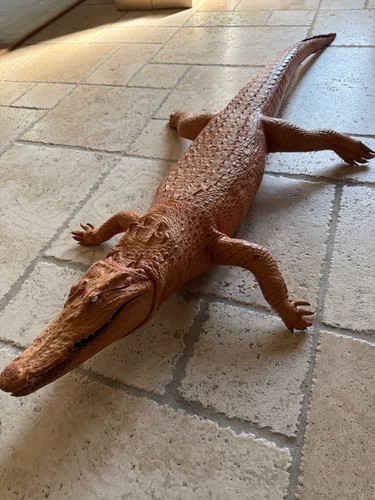 Exceptional alligator - exceptional,