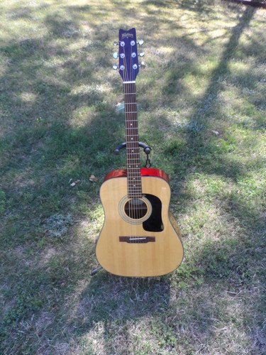 Washburn d10 acoustic guitar - washburn, n