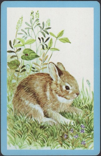 Playing cards single card - playing,