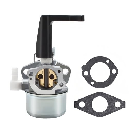 Carburetor for briggs stratton - carburetor,