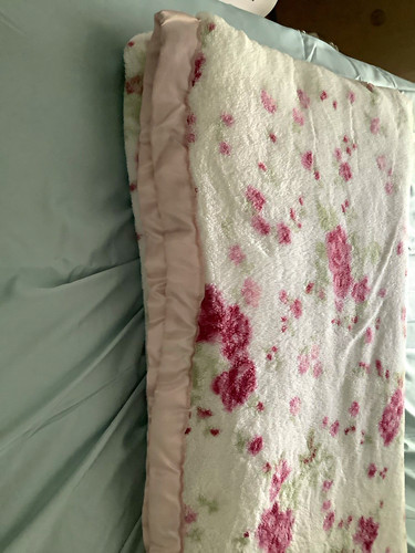 Simply shabby chic floral - floral,
