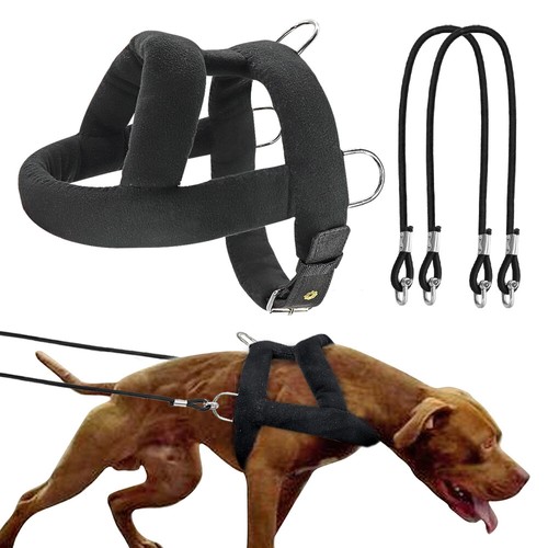 Large dog weight - dog, pulling