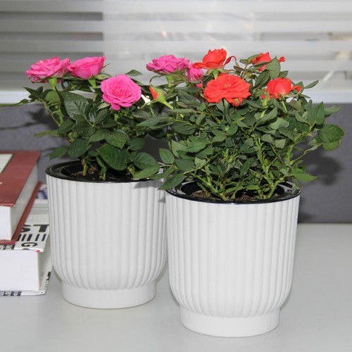 Self watering planters - self,