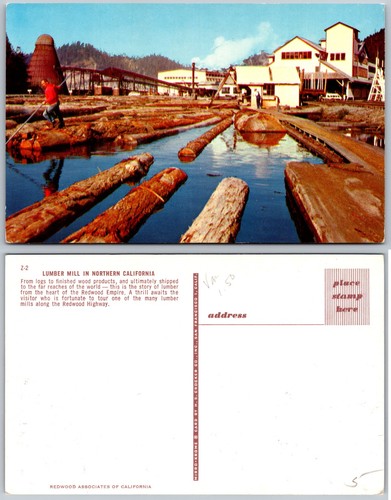 Lumber mill redwood logs - mill,