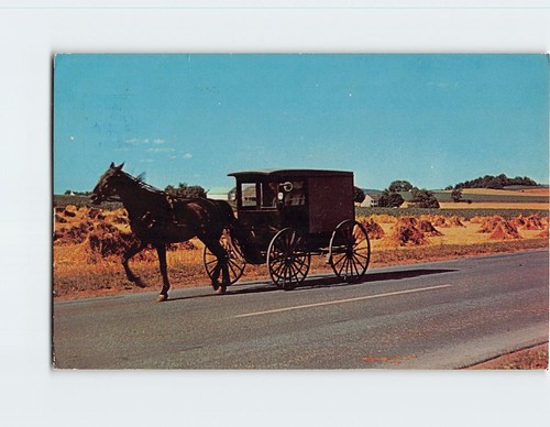 Postcard amish wagon from - postcard,