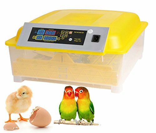 Egg bird incubator eggs - egg, 48