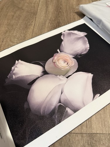 White rose canvas - rose,