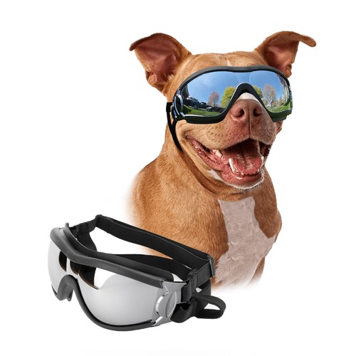 Dog goggles large breed - dog,