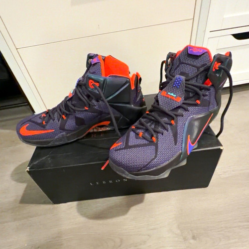 Nike lebron 2014 instinct - nike,