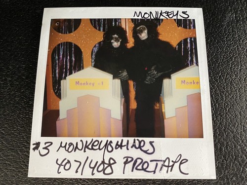 Monkeys madtv polaroid - monkeys,