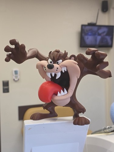 Custom printed tasmanian - custom, 3d