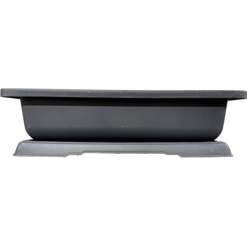 Giant inch bonsai pot and - giant,