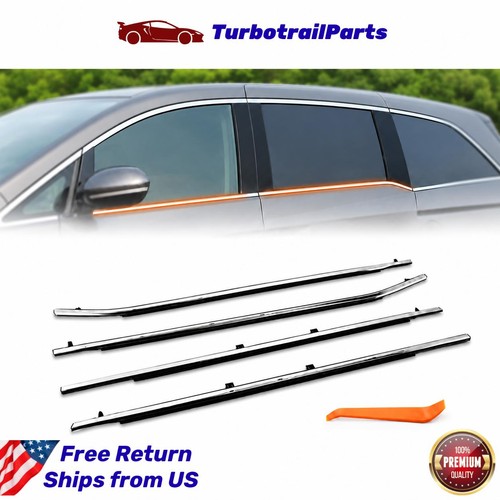 4pcs window belt - belt, molding