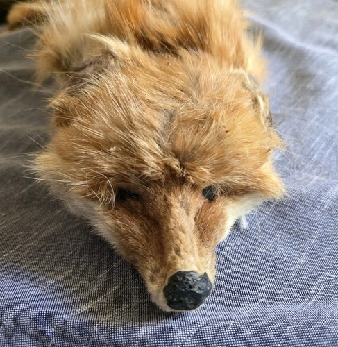 Vintage red fox fur pelt - fox,
