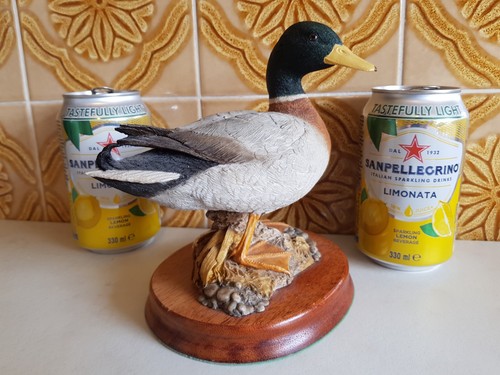 Wildtrack mallard signed - mallard,