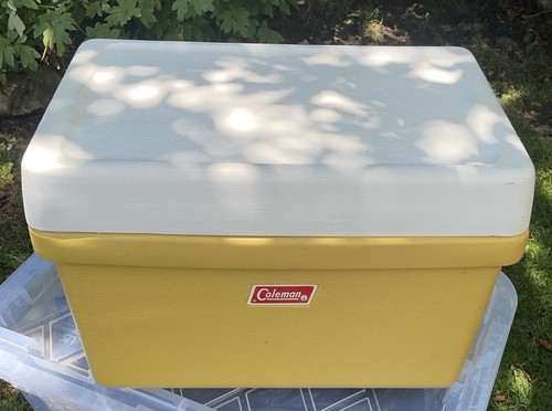 Vintage 1970 coleman metal - vintage,
