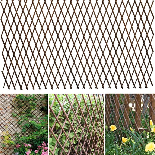 Expandable willow lattice - willow,