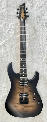 Schecter 3938 standard - schecter,