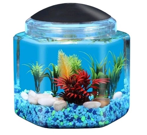 Gallon hex betta tank led - 1,