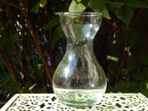 Clear glass hyacinth flower - hyacinth,