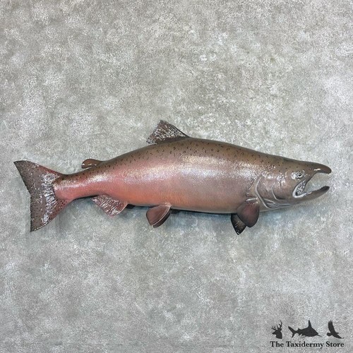 27692 5 chinook king - #27692, wc