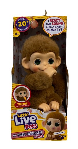 Little live pets - pets, baby