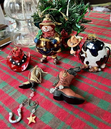 Cowboy theme christmas - 5,