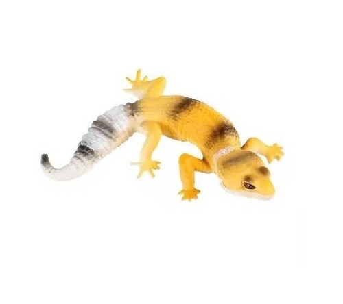 Leopard gecko lizard - leopard,