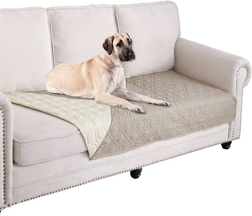 Reversible waterproof dog cat - reversible,