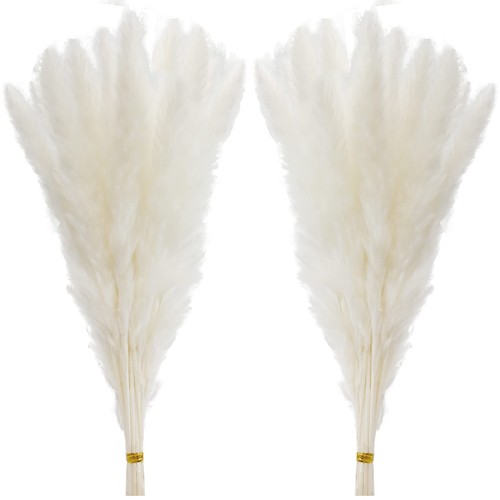 Pcs white pampas - white, grass