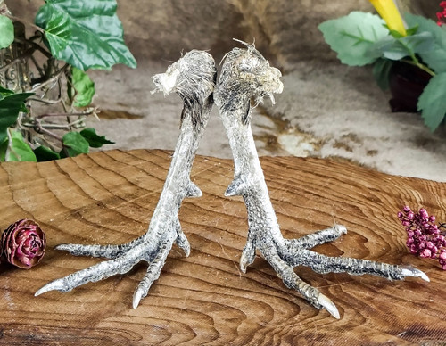 Spread pheasant feet - spread,