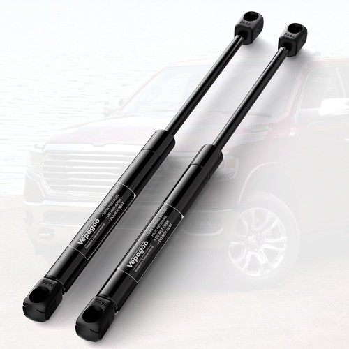 Sg314074 hood struts - sg314074,