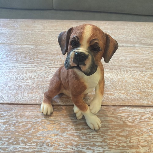 New nib puppies - new, country