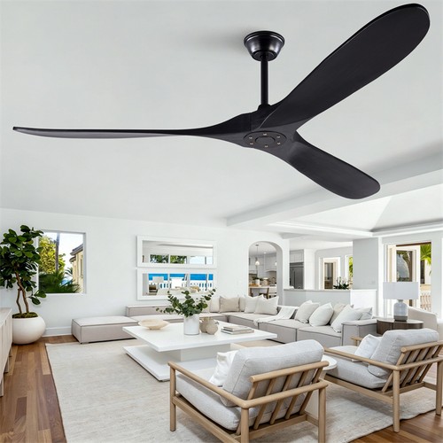 Black modern ceiling fan - modern,