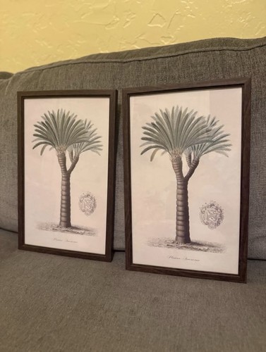 Pair tropical palm trees - pair,