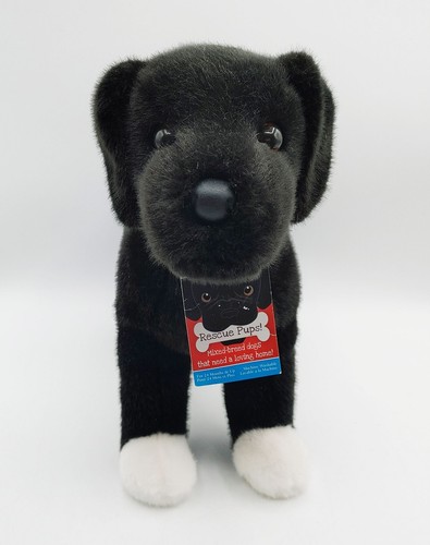 Twister black lab pit - lab, mix