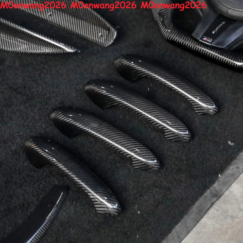 Dry carbon fiber door - 4x,