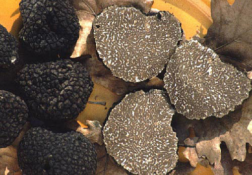 Precious italian fresh black - italian,