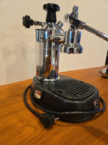 Pavoni europiccola - la,
