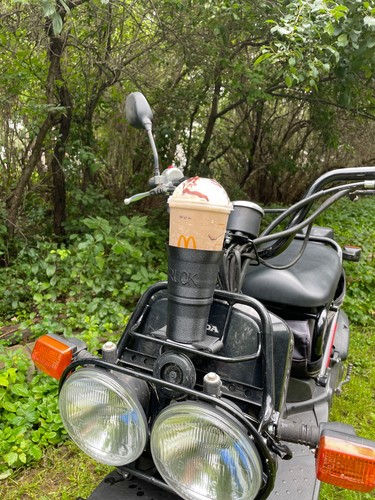 Honda ruckus zoomer frappe - or,